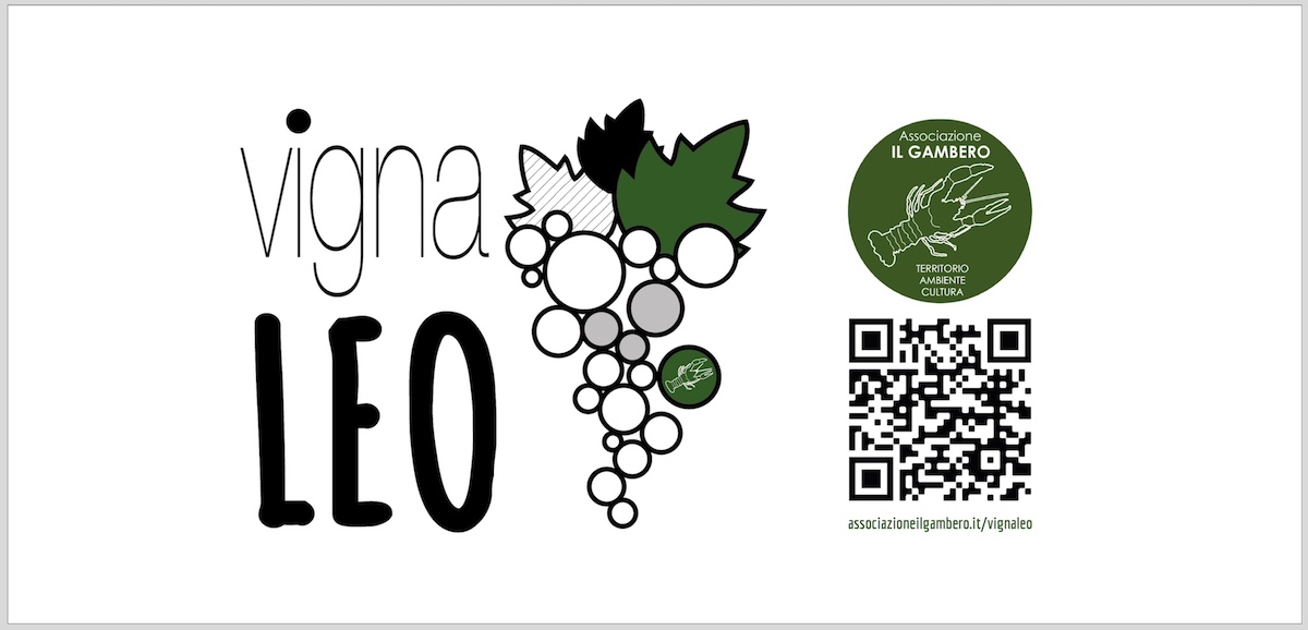 Vigna Leo Cartello Logo